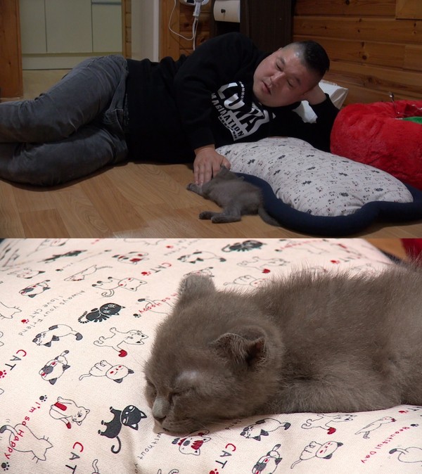 ▲ ⓒJTBC '마리와 나' 제공