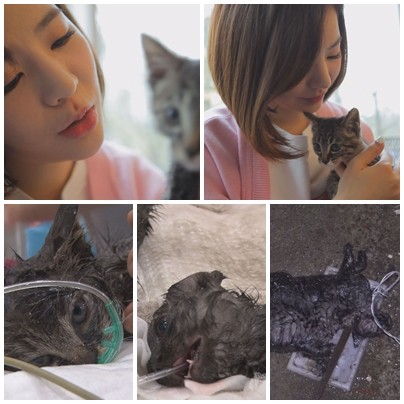 ▲ ⓒSBS '동물농장' 제공