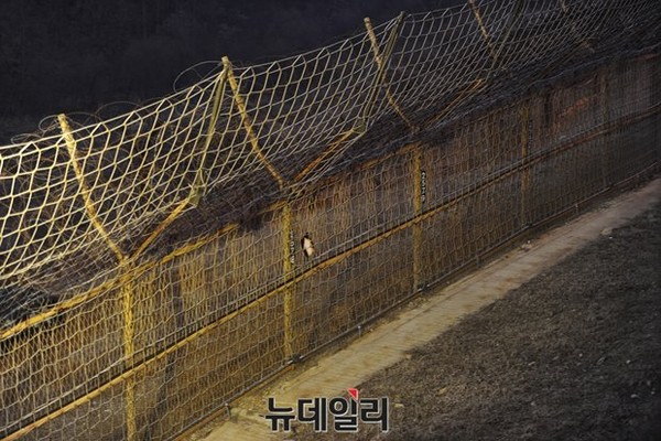 ▲ 육군 25사단 전방 GOP 경계철책 모습.ⓒ뉴데일리 정재훈 사진기자