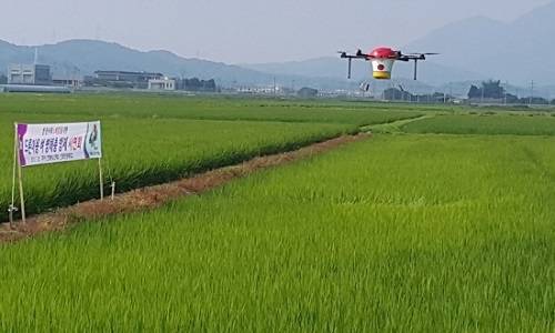 ▲ 지난 8월 구미에서 시연된 드론 농약 살포ⓒ구미시청 홈페이지 캡처