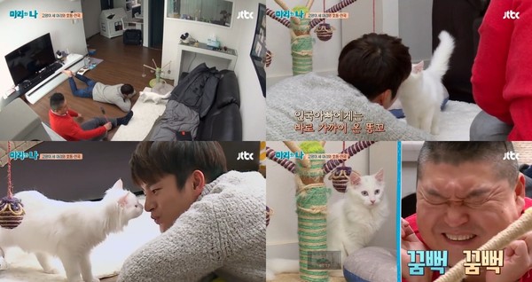 ▲ ⓒJTBC '마리와 나' 방송캡처