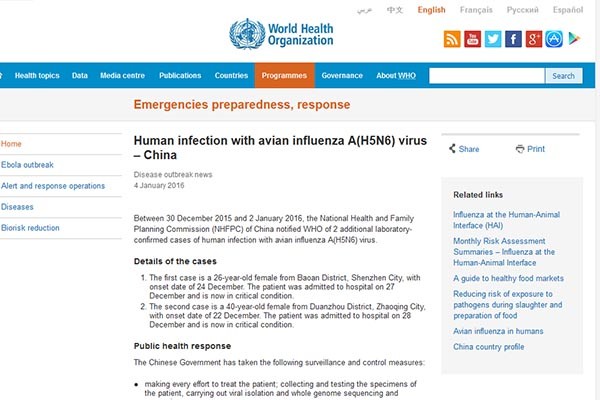 ▲ 지난 4일(현지시간) 세계보건기구는 홈페이지를 통해 중국 내 조류독감(H5N6) 경보를 내렸다. ⓒWHO 홈페이지 캡쳐