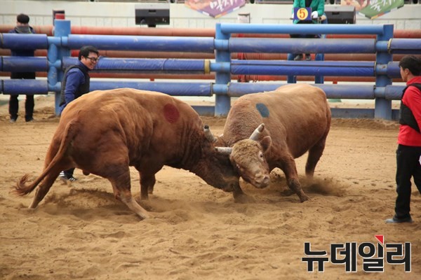 ▲ 청도공영사업공사는 지난 9일 오전 11시 첫 우권 발매를 시작으로 이승률 군수, 예규대 군의회 의장, 공사 박문상 사장, 우사회  임직원 및 종사자 3000여명이 참석한 가운데 개장 선포식을 가졌다. ⓒ청도군 제공