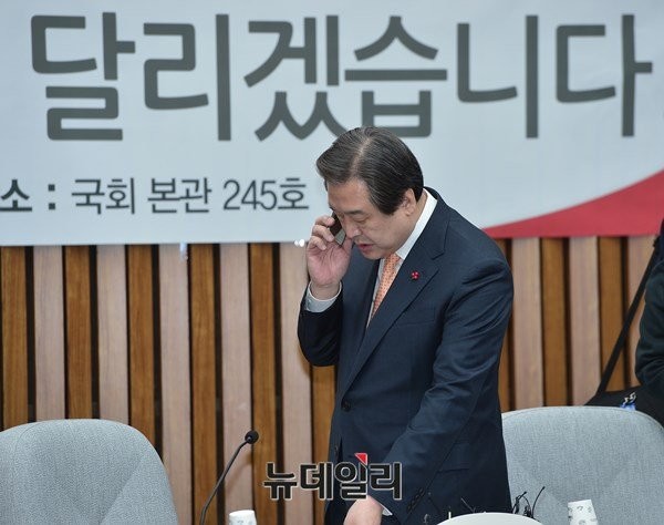 ▲ 김무성 새누리당 대표 ⓒ 뉴데일리 DB