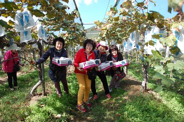 ▲ 상주시농업기술센터는 25일부터 다음달 12일까지 센터 홈페이지를 통해 농촌사랑 도시소비자교육생을 모집한다.  ⓒ상주시 제공