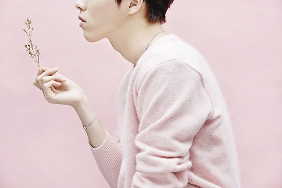 ▲ ⓒ스타쉽엔터테인먼트 제공