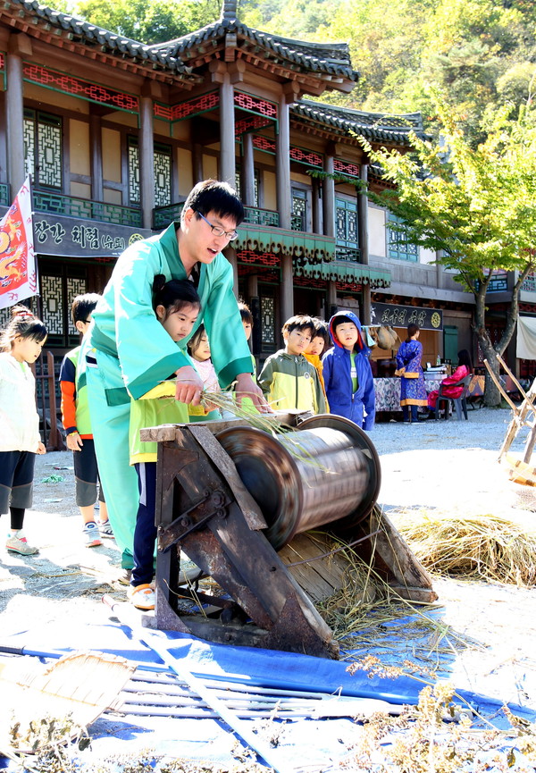 ▲ 온달문화축제에 참여한 관광객이 고구려 복식을 입고 탈곡 체험을 하고 있다ⓒ단양군