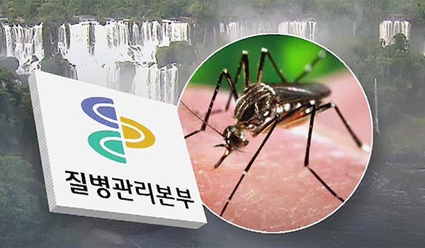 ▲ 한국 질병관리본부 또한 '지카 바이러스'의 유입을 막기 위해 노력 중이다. 한국에 서식하는 '흰줄 숲모기'도 '지카 바이러스'를 옮길 수 있기 때문이라고 한다. ⓒ2015년 12월 14일 SBS 관련보도 화면캡쳐