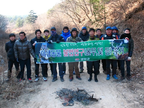 ▲ 영덕군은 영덕읍 삼계리 인근 야산에서 최근 불법엽구인 올무, 덫을 제거하는 등 겨울철 야생동물 보호에 만전을 기하고 있다. ⓒ영덕군 제공