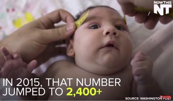 ▲ 올해 브라질 리우데자네이루에서 열리는 올림픽에 출전하는 선수들은 반바지, 민소매를 입기 어렵게 됐다. 사진 속 소두증을 유발하는 것으로 알려진 지카바이러스 때문이다. ⓒ유튜브 '나우디스채널' 영상 캡쳐