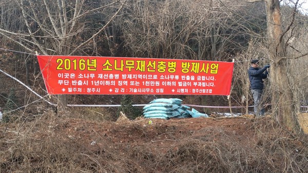 ▲ 청주시가 최근 발생한 소나무재선충병 긴급 방제작업에 나섰다.ⓒ청주시