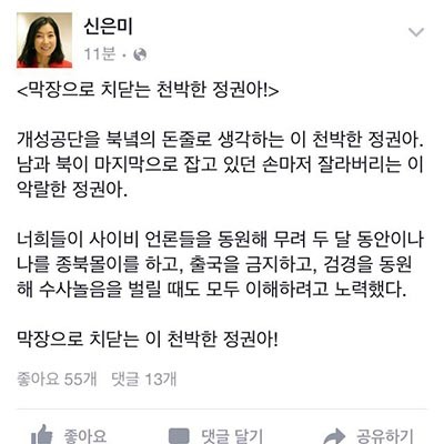 ▲ 재미종북인사로 알려진 미국인 신은미 씨의 SNS. ⓒ신은미 씨 SNS 캡쳐