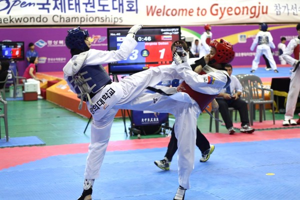 ▲ ‘2016 경주 코리아오픈 국제태권도대회’의 대회조직위원회 창립총회가 12일 경주시청 알천홀에서 열렸다.ⓒ경주시 제공