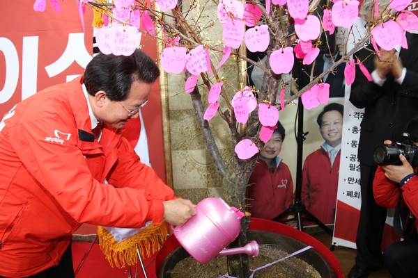 ▲ 류성걸 대구 동구갑 국회의원이 12일 오후 선거사무소 개소식을 갖고 주민의 희망을 담은 동구 성장나무에 물을 주고 있다.ⓒ류성걸 후보 제공