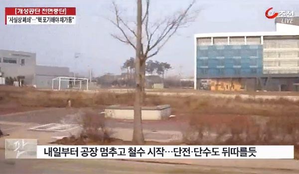 ▲ 정부가 대북민간교류 중단, 개성공단 가동중단을 발표했음에도 '대북민간교류'를 신청한 사람들이 있었다고 한다. ⓒTV조선 뉴스쇼 '판' 개성공단 가동중단 관련보도 캡쳐