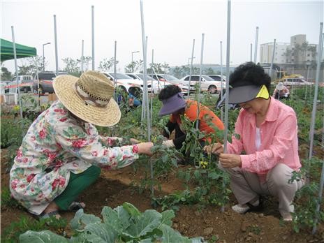 ▲ 도시농업전문가 양성과정 교육 참가자들이 농산물 지주대 만들기 작업을 하고 있다.ⓒ세종시