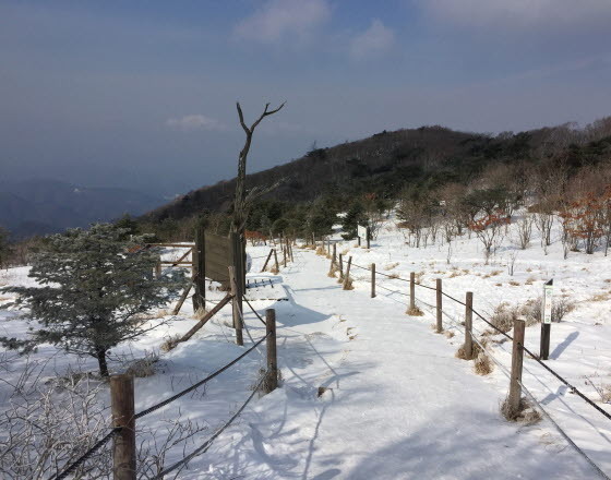 ▲ 소백산국립공원 천동탐방코스ⓒ국립공원 소백산북부사무소