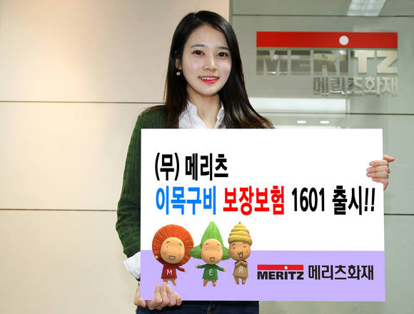 ▲ ⓒ메리츠화재