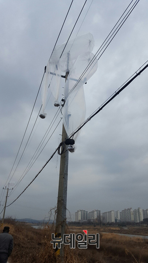 ▲ 강풍에 의해 전신주에 걸린 대북풍선. ⓒ뉴데일리 정성화 기자
