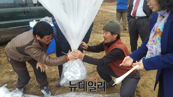 ▲ 북한인권운동가 강재천씨가 대북풍선에 대북전단뭉치를 묶고 있다. ⓒ뉴데일리 정성화 기자