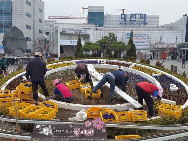 ▲ 대전역 꽃시계, 가로화단 팬지 등 봄꽃 35만본 식재ⓒ대전시