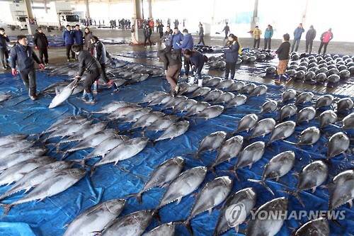 ▲ 해양수산부 서해어업관리단(서해단)은 중국과 합의한 '불법(IUU)어업 방지 공동조치 합의문'에 따라 중국어선의 불법어업 단속을 강화하겠다고 9일 밝혔다. ⓒ 연합뉴스