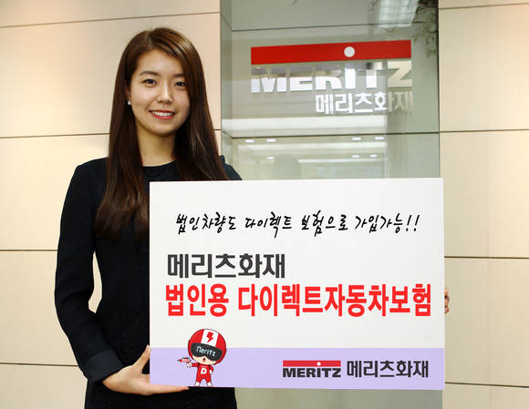 ▲ ⓒ메리츠화재