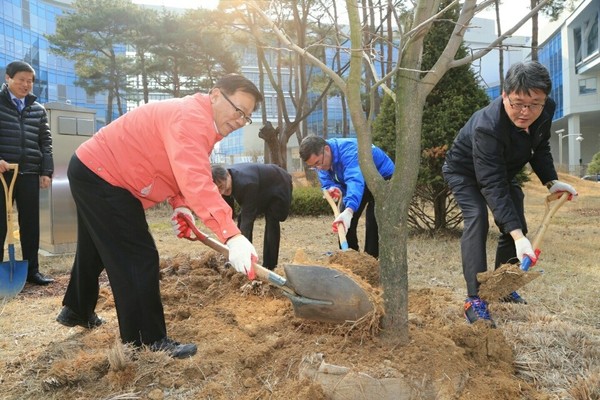▲ 이동필 농식품장관이 지난 14일 영동군이 기증한 감나무를 세종청사 정원에 심고 있다.ⓒ영동군