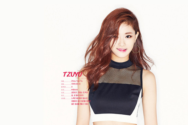 ▲ ⓒJYP 엔터테인먼트 홈페이지