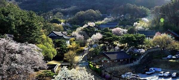 ▲ 대상을 수상한‘남간정사의 아침.ⓒ대전시