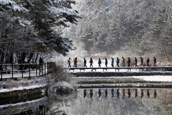 ▲ 금상을 수상한 ‘수통골의 겨울’.ⓒ대전시