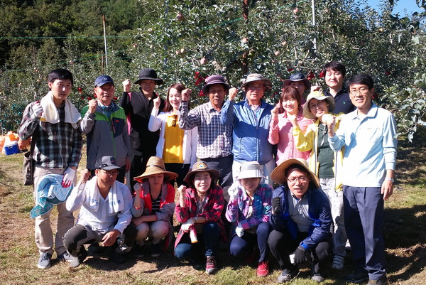 ▲ 지난해 류한우 단양군수와 공무원들이 고령과수 농가를 찾아 봉사활동을 펼친 모습ⓒ단양군