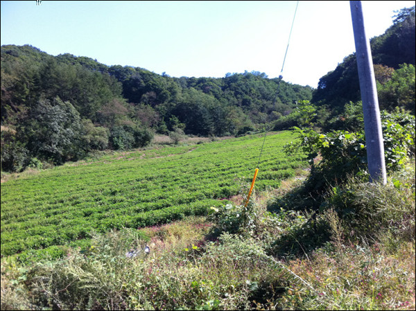 ▲ 폐기물매립장이 들어설 예정인 제천시 천남동 일대 모습ⓒ제천의림포럼