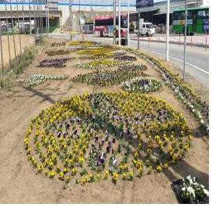 ▲ 고령군 쌍림면에 조성된 꽃길. 이 꽃길은 2016가야체험축제를 찾은 방문객들을 위해 조성됐다.ⓒ고령군 제공