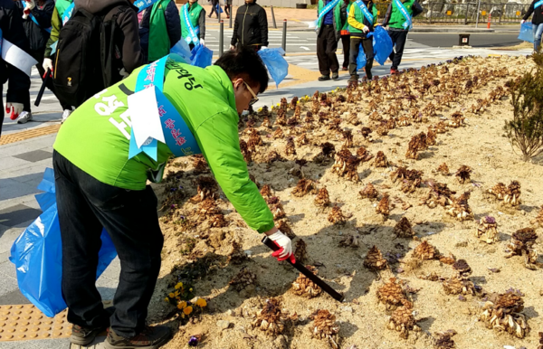 ▲ 세종시 구성모 후보가 25일 국토대청결운동으로 선거운동을 하고 있다.ⓒ구성모후보 선거사무소