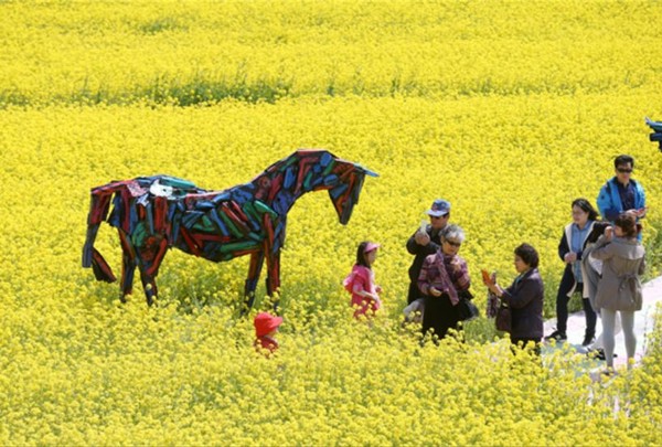 ▲ 2015년 개최된 제 4회 낙동강 유채꽃 축제ⓒ부산시