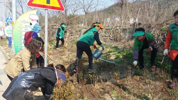 ▲ 경북 고령군 덕곡면 사무소 직원과 새마을 부녀회 회원들이 28일 면사무소 인근 도로변에 봄꽃을 식재하고 있다.ⓒ고령군 제공