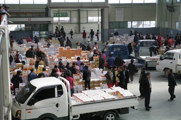 ▲ 성주 참외 가격이 거듭 고공행진을 거듭하고 있다. 사진은 성주 참외 공판장 거래 사진.ⓒ성주군 제공