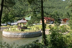 ▲ 충남 서천군 동백꽃마을 주변 전경.ⓒ충남도