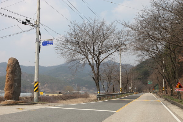 ▲ ‘제1회 호탄 벚꽃 문화축제’가 열리는 호탄리 입구.ⓒ영동군