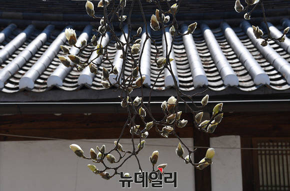 ▲ 니콘 D5, F8.0 1/500초 ISO 200. ⓒ뉴데일리 정재훈 기자