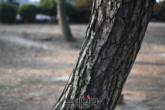 ▲ 니콘 D5, F3.5 1/200초 ISO 100. ⓒ뉴데일리 윤진우 기자