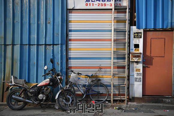 ▲ 니콘 D5, F3.5 1/640초 ISO 100. ⓒ뉴데일리 윤진우 기자