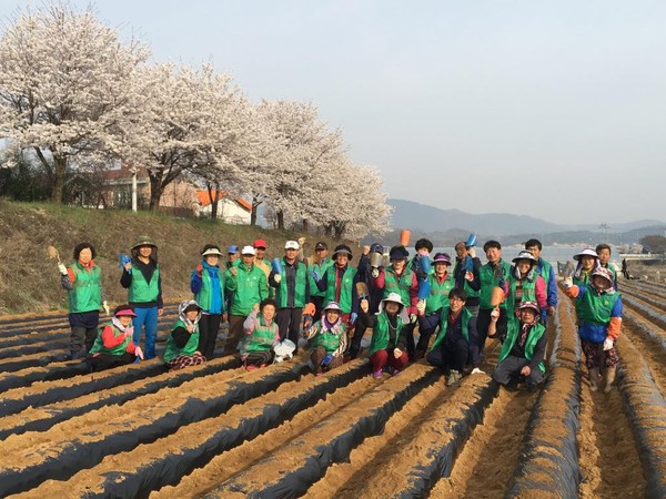 ▲ 문경시 산양면 새마을남녀지도자협의회는 6일 산양면 금천변의 농지에서 '사랑의 땅콩 심기' 행사를 가졌다.ⓒ문경시 제공