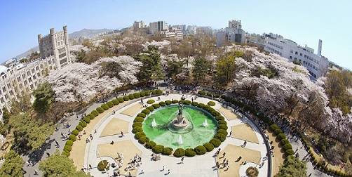 ▲ '캠퍼스가 아름다운 대학' 1위에 오른 서울 동대문구 경희대학교 전경. ⓒ경희대