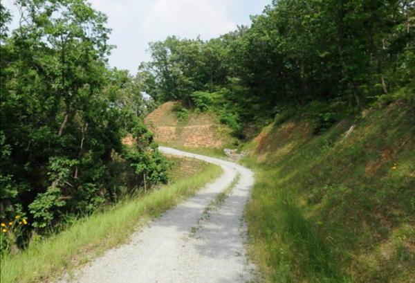 ▲ 세종시 전동면 보덕리 임도전경.ⓒ세종시