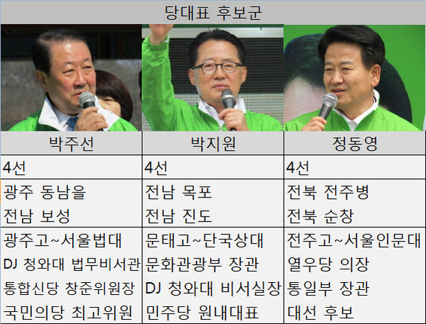 ▲ 이르면 오는 6월 전당대회를 소집해 새로운 지도부를 선출할 것으로 보이는 국민의당의 차기 당권 주자군으로 박주선 최고위원과 박지원 의원, 정동영 당선인이 거론되고 있다. ⓒ표=뉴데일리 정도원 기자