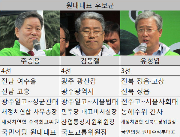 ▲ 내달 20대 국회 첫 원내지도부를 선출할 것으로 보이는 국민의당의 원내대표 후보군으로 주승용 원내대표와 김동철·유성엽 의원이 거론되고 있다. ⓒ표=뉴데일리 정도원 기자