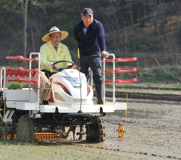 ▲ 이필용 음성군수(왼쪽)가 18일 감곡면 단평1리 김선재씨 논에서 이양기로 모내기를 하고 있다.ⓒ음성군