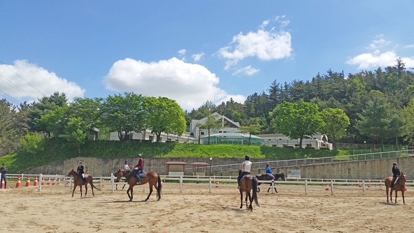 ▲ 사진은 대전시 시설관리공단 복용승마장 전경.ⓒ대전시